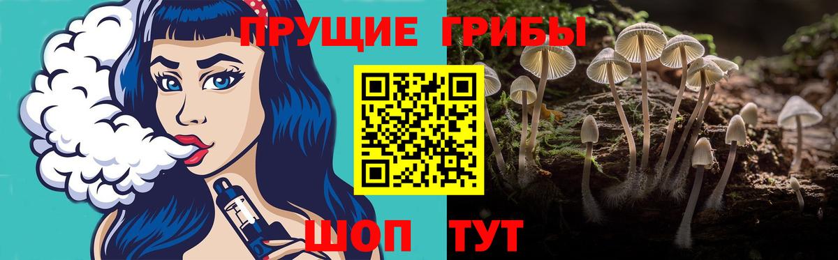 Галлюциногенные грибы GOLDEN TEACHER  Псилоцибиновые грибы Cubensis  Магнитогорск  Вход с VPN 